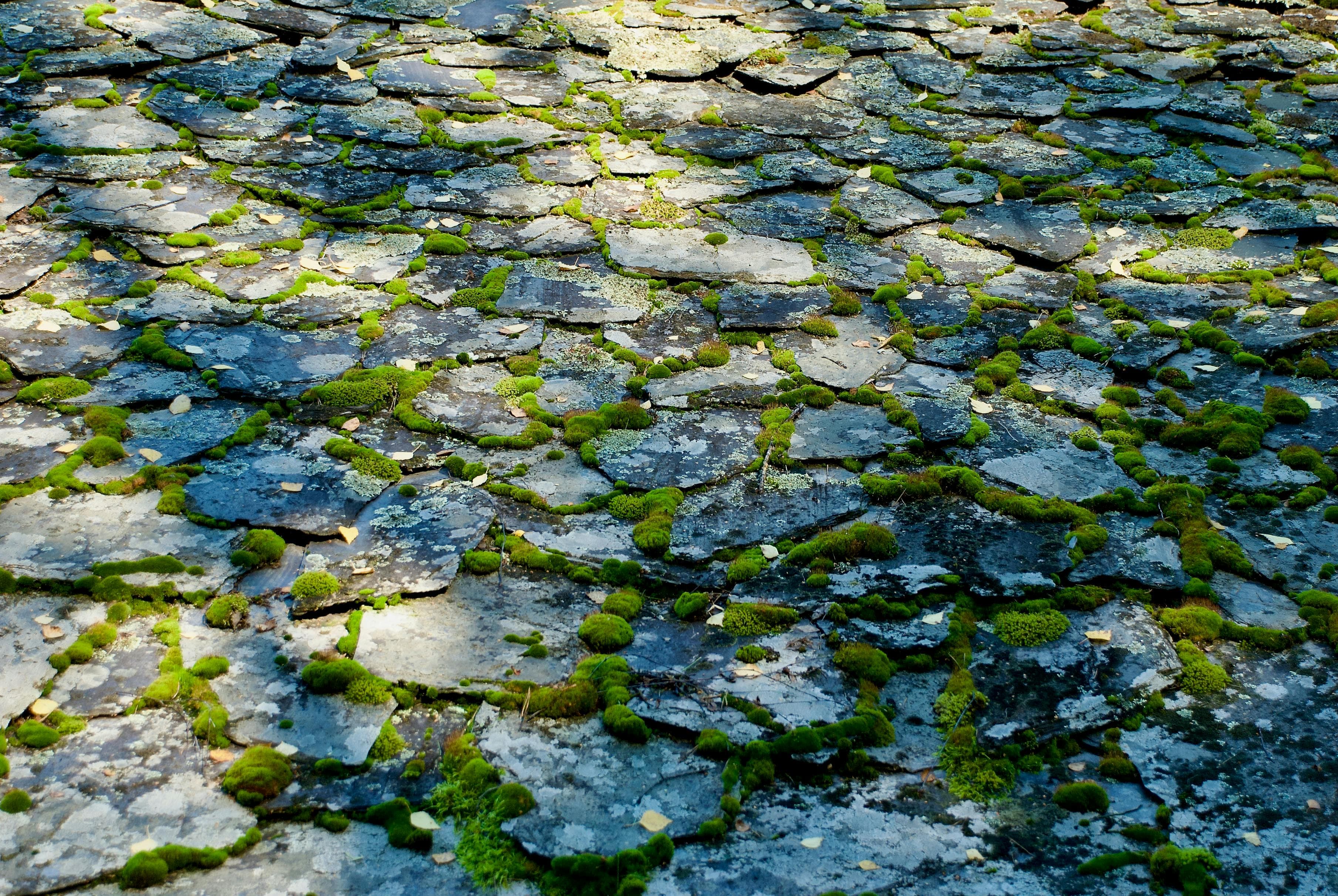 Clean driveway after pressure washing