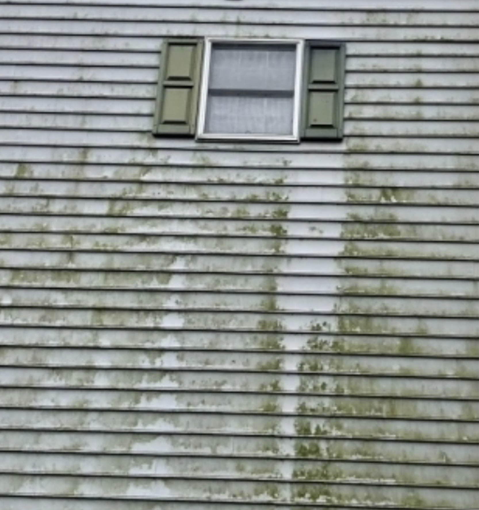 Before: Siding with window and shutters before and after soft washing